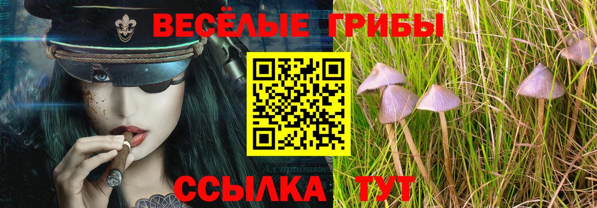Шатура  Галлюциногенные грибы GOLDEN TEACHER  Псилоцибиновые грибы Psilocybe  Вход с VPN 
